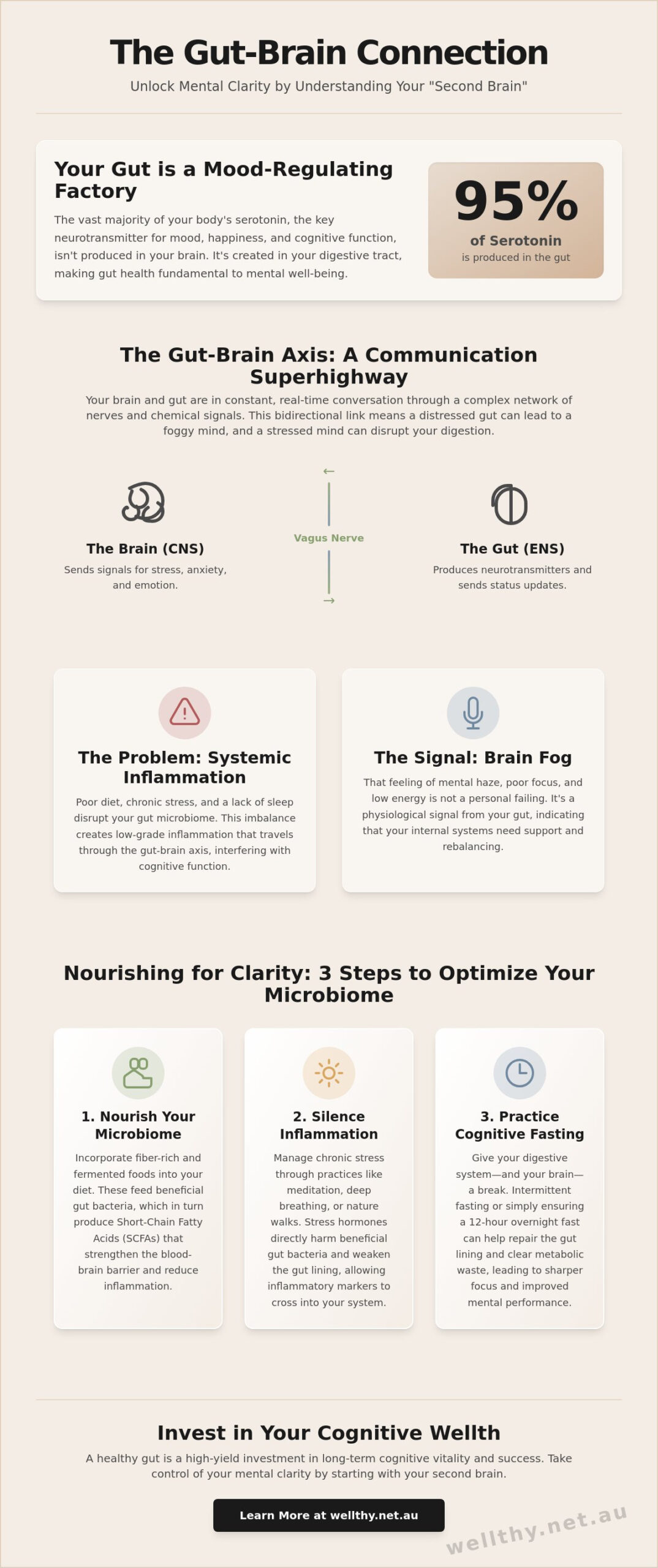 Gut Health and Mental Clarity: The Science of Your Second Brain